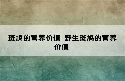 斑鸠的营养价值  野生斑鸠的营养价值 